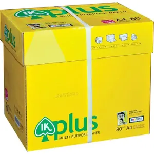 Giấy photo A4 IK Plus, thùng 5 ram, 80g